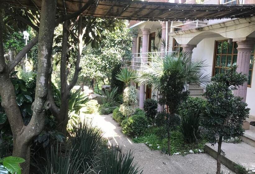 Отель El Mirador Y Jardin