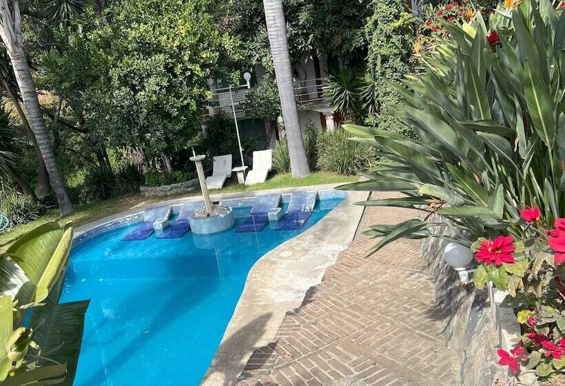 Отель El Mirador Y Jardin