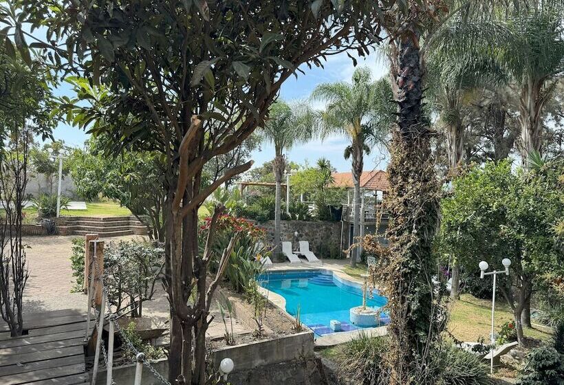 Отель El Mirador Y Jardin