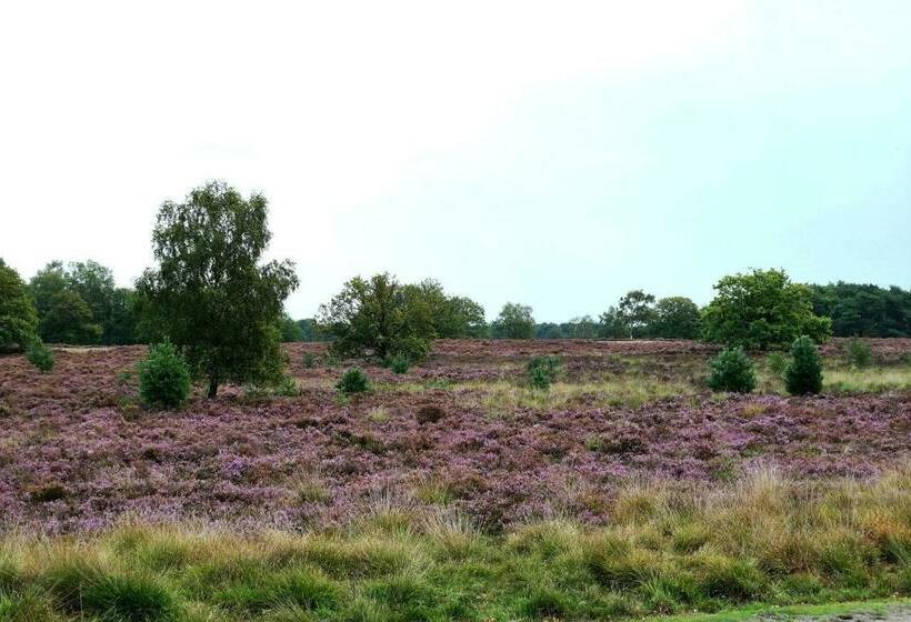 Gasterij Hotel Dennenoord