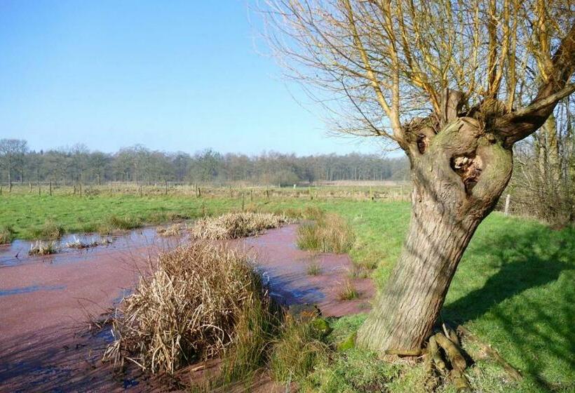 Gasterij Hotel Dennenoord