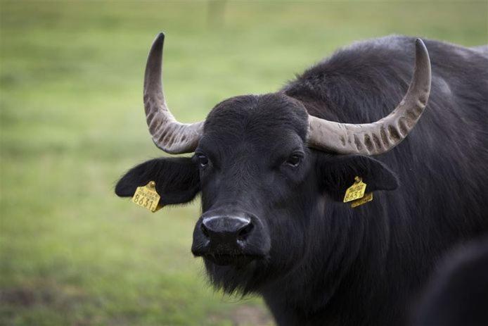 Gasterij Hotel Dennenoord