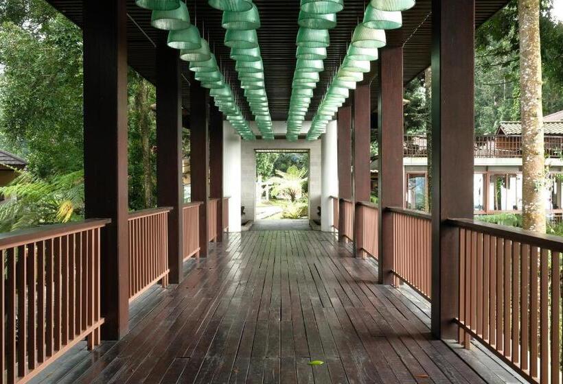 בית מלון כפרי The Grand Hill Resort