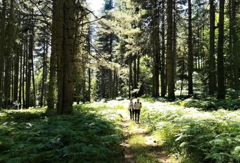 La Dimora Di Radha B&b Centro Olistico