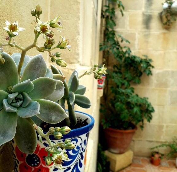 Laremi Gozo B&b