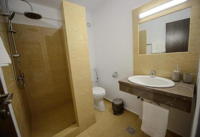 Пансион Casa Lui Matei