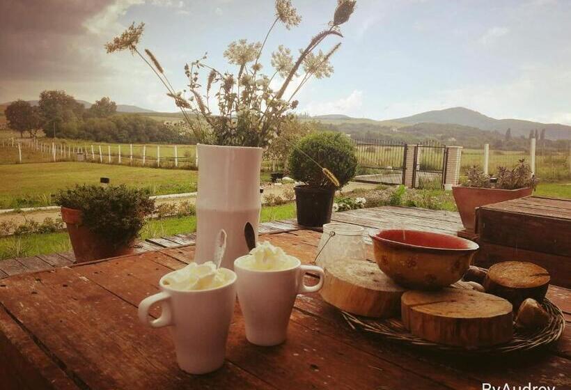 פנסיון Dósa Tanya, Vendégház