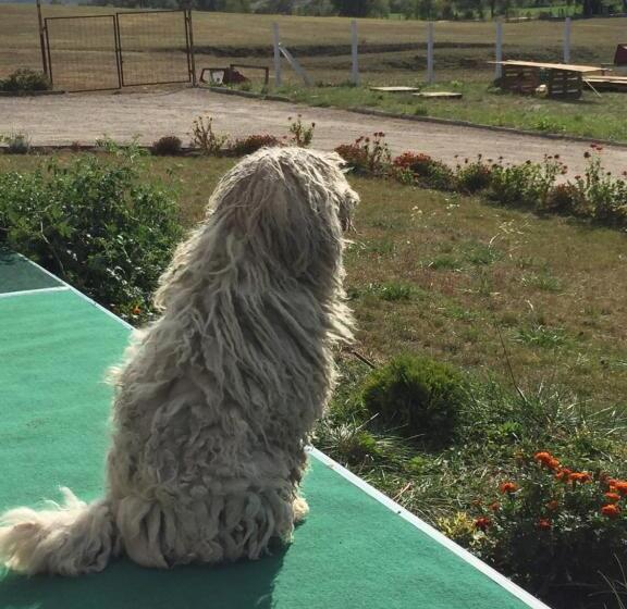 פנסיון Dósa Tanya, Vendégház