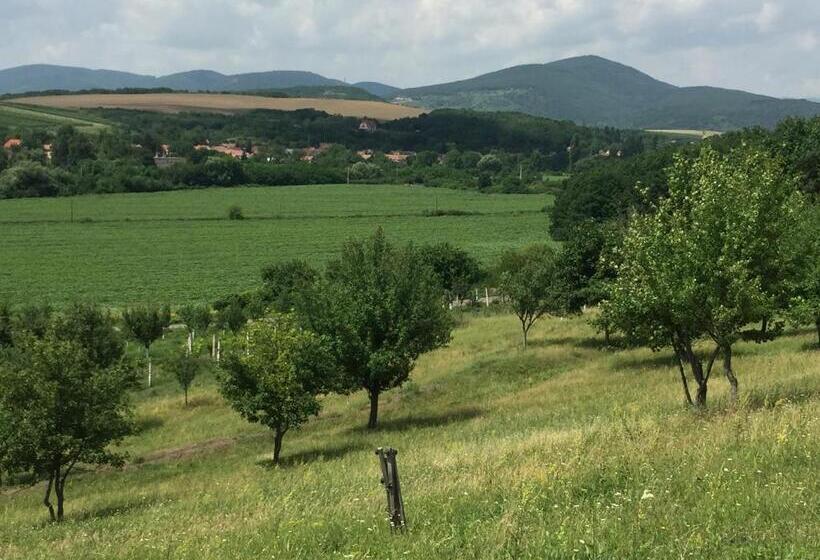 פנסיון Dósa Tanya, Vendégház