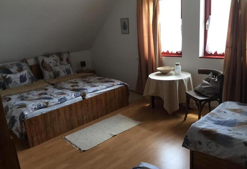 פנסיון Dósa Tanya, Vendégház