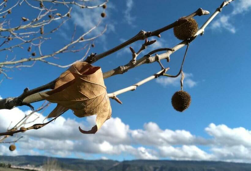 ペンション Ferme D’hôte La Vallée