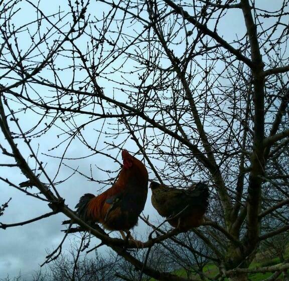 ペンション Ferme D’hôte La Vallée