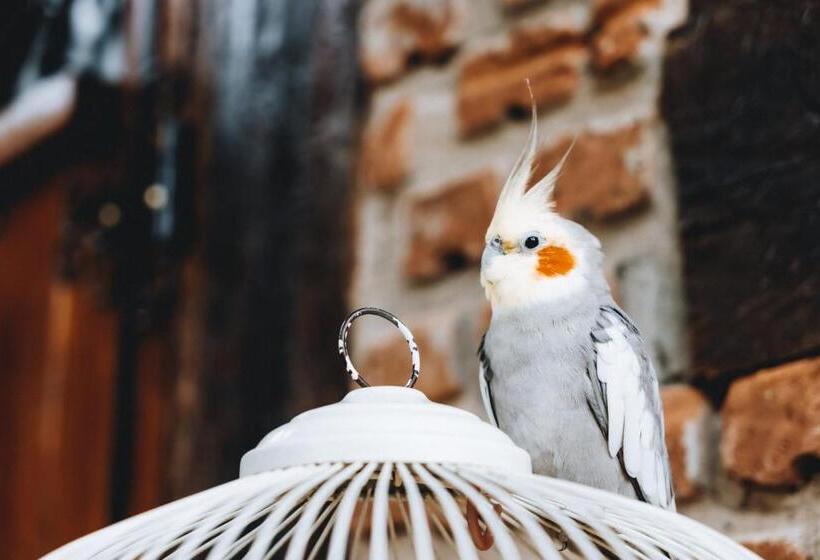 펜션 Pousada Viva   São Thomé Das Letras