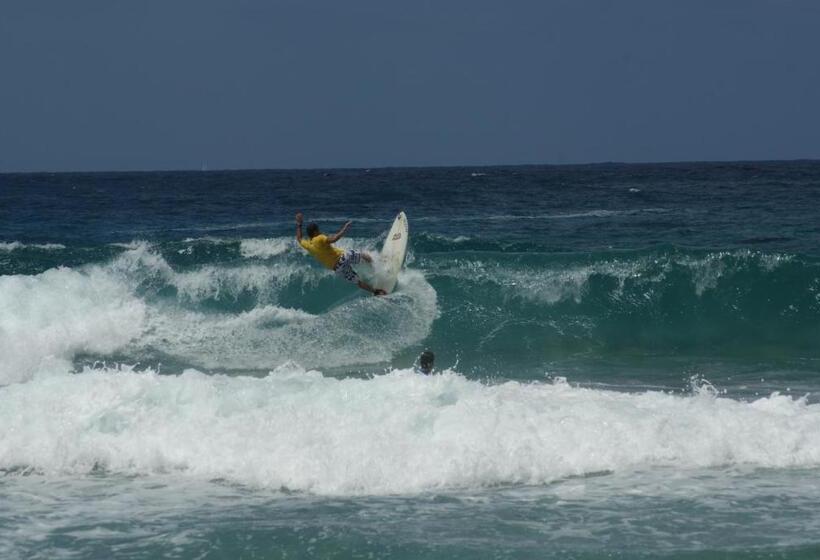 膳宿费 Valderice Rio Apartments