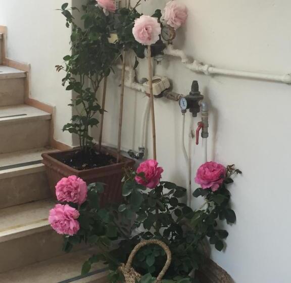 פנסיון Villa La Quercia