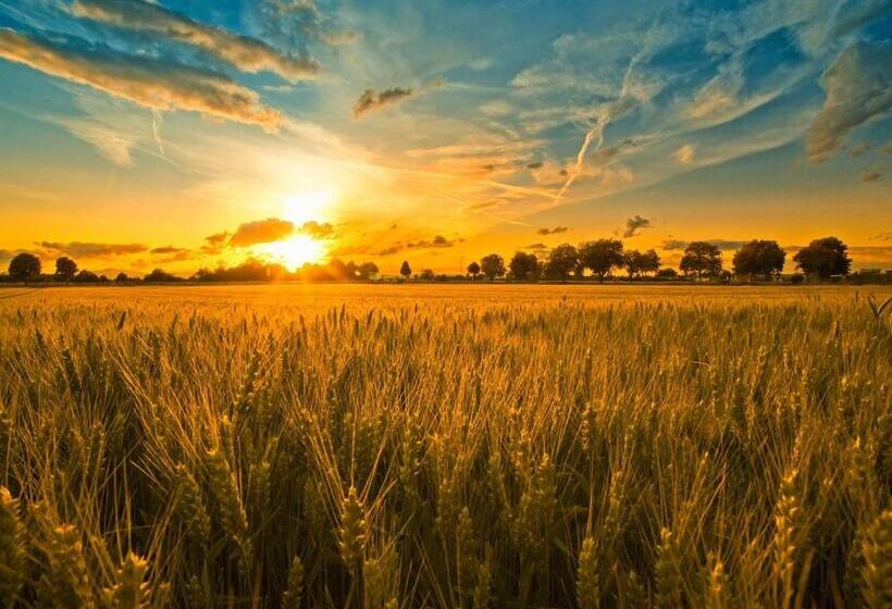 膳宿费 Villa Sacro Cuore