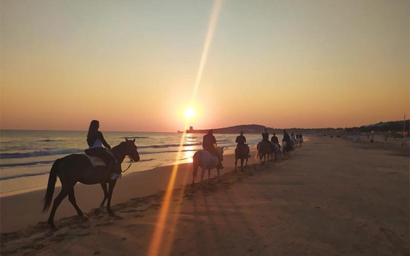 膳宿费 Villa Sacro Cuore