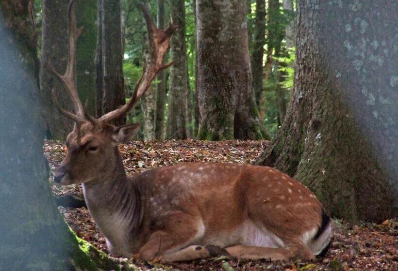 膳宿费 Villa Sacro Cuore