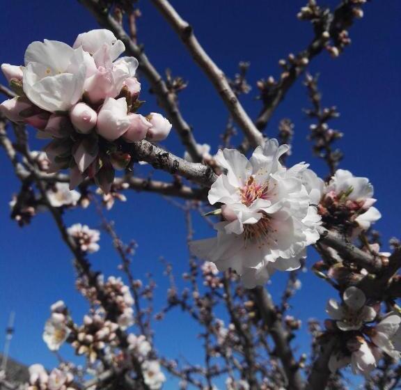 膳宿费 Villa Sacro Cuore