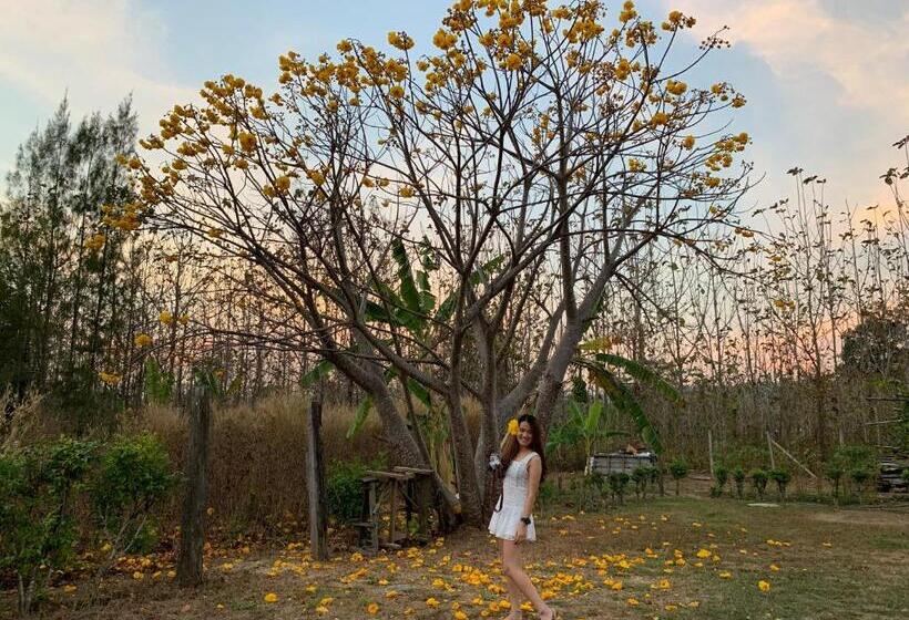 Курорт Baan Maikhiangphu Wang Nam Khiao