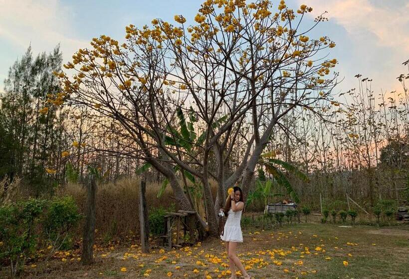 Курорт Baan Maikhiangphu Wang Nam Khiao