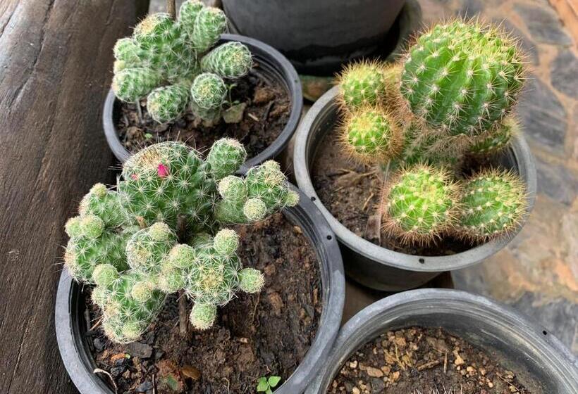 Курорт Baan Maikhiangphu Wang Nam Khiao