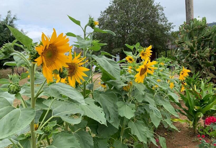Курорт Baan Maikhiangphu Wang Nam Khiao