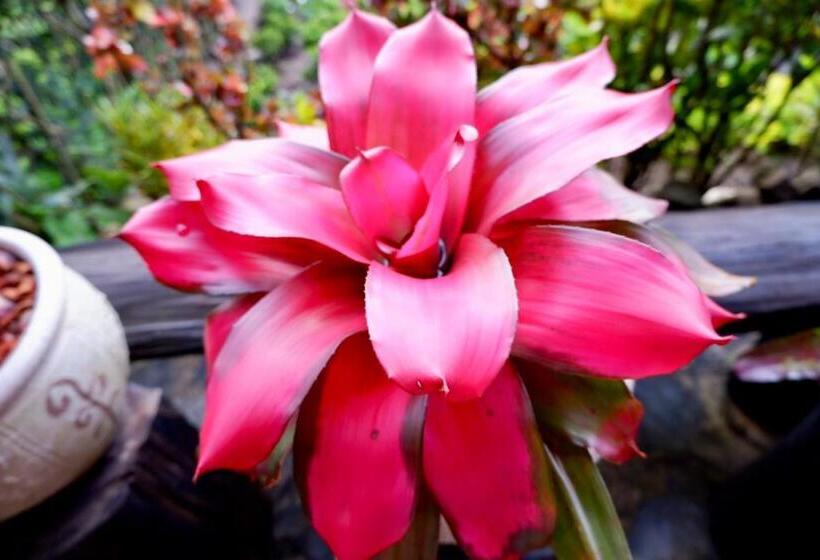 Курорт Baan Maikhiangphu Wang Nam Khiao