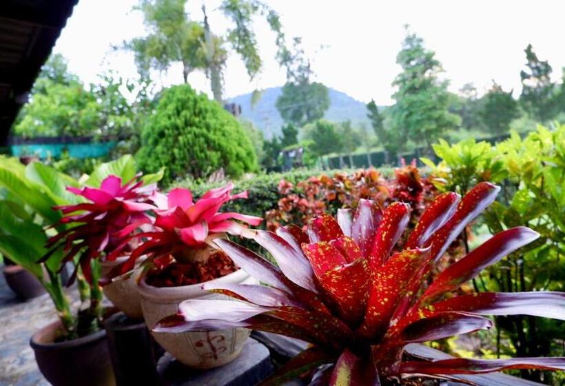 Курорт Baan Maikhiangphu Wang Nam Khiao