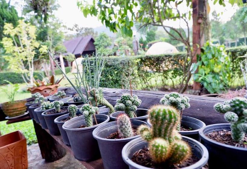 Курорт Baan Maikhiangphu Wang Nam Khiao