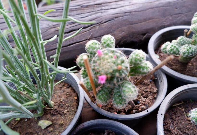 Курорт Baan Maikhiangphu Wang Nam Khiao