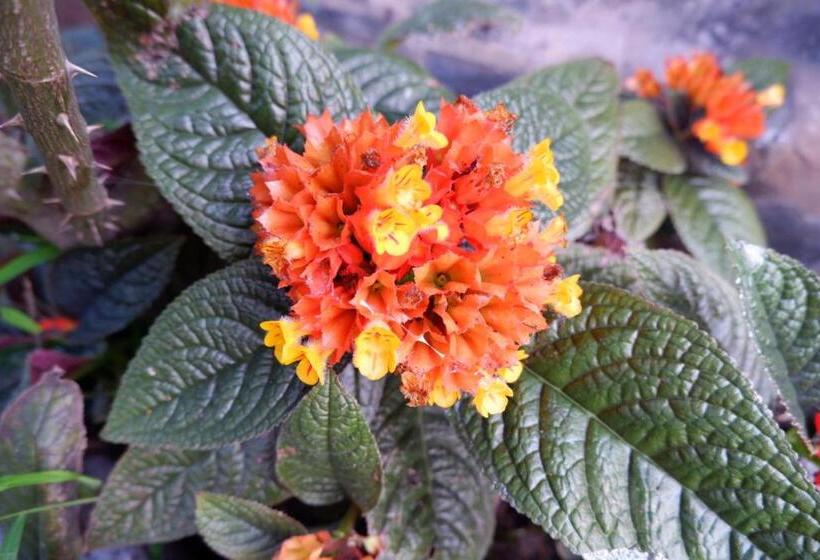 Курорт Baan Maikhiangphu Wang Nam Khiao