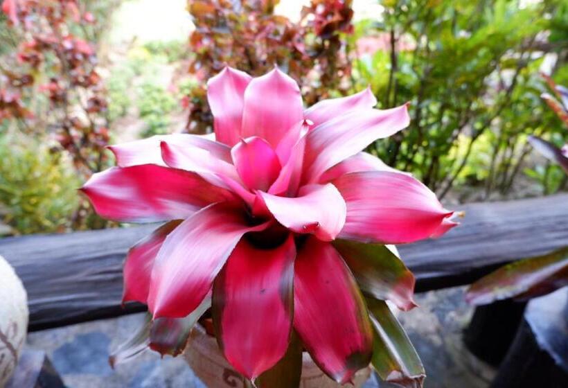 Курорт Baan Maikhiangphu Wang Nam Khiao