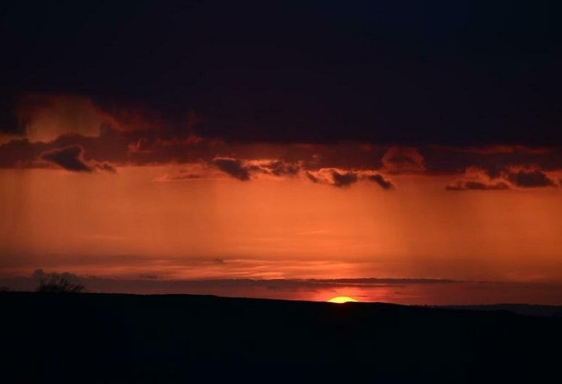 Top Parts Bed & Breakfast