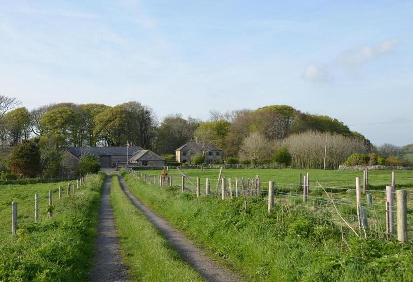 Top Parts Bed & Breakfast