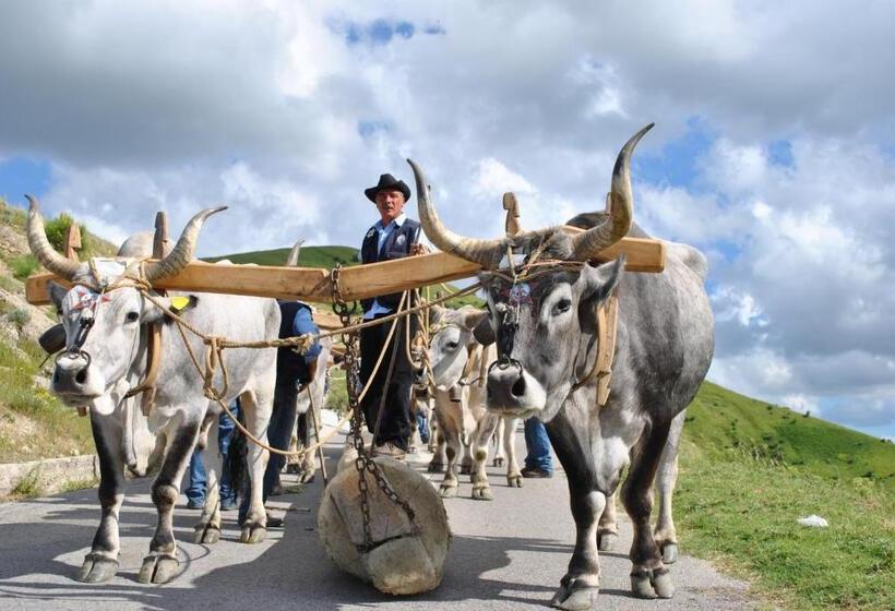 B&b La Dimora Del Contadino