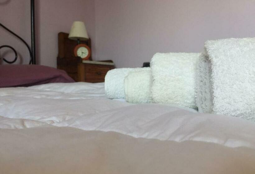 مبيت وإفطار Alex Room Airport