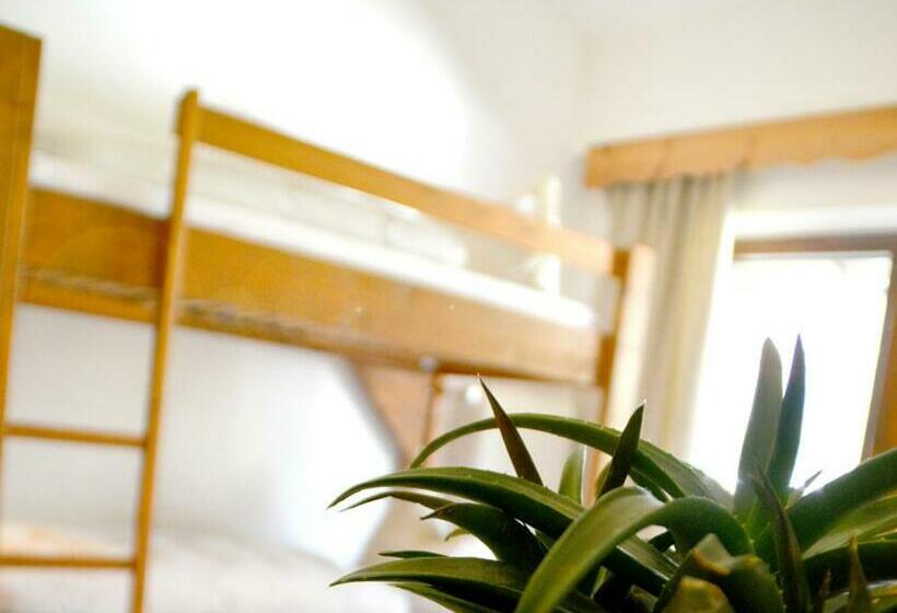 צימר Pension Almhof Baumgarten