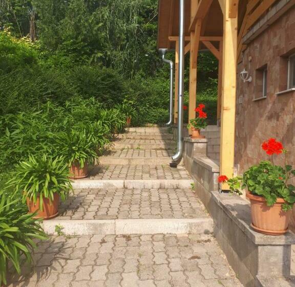 Bed and Breakfast Borkúti Panzió és Apartman