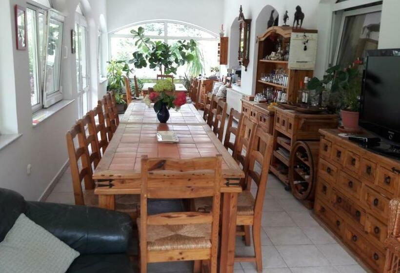 Bed and Breakfast Borkúti Panzió és Apartman