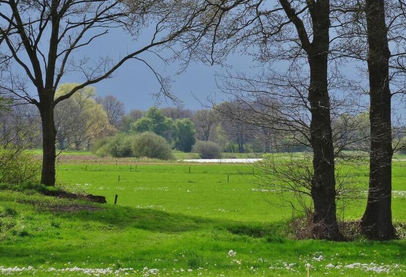 צימר Brinkesdiek