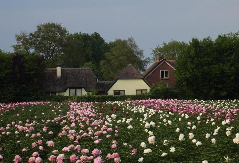 צימר Brinkesdiek