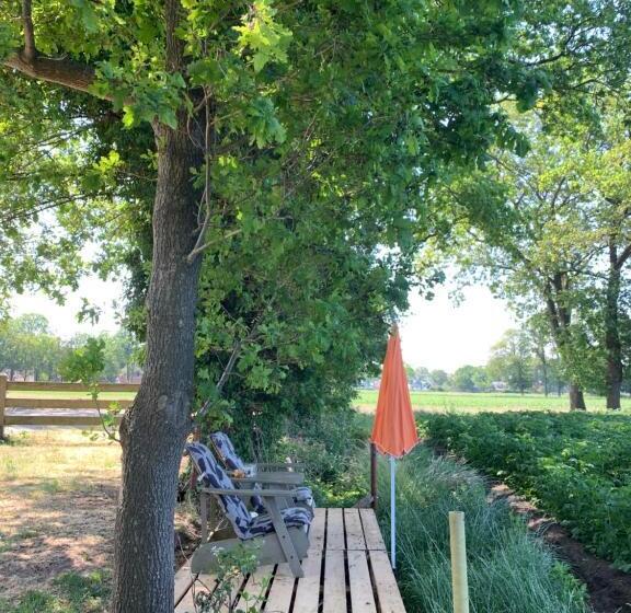 צימר Brinkesdiek