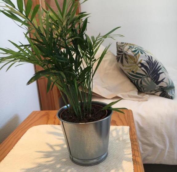 Bed and Breakfast Casa Algaida