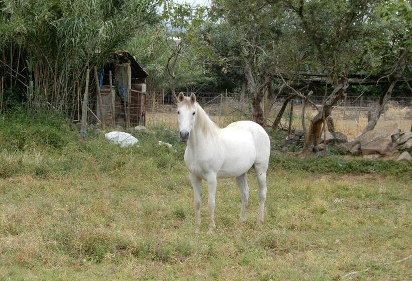 مبيت وإفطار Solar Da Cumeada