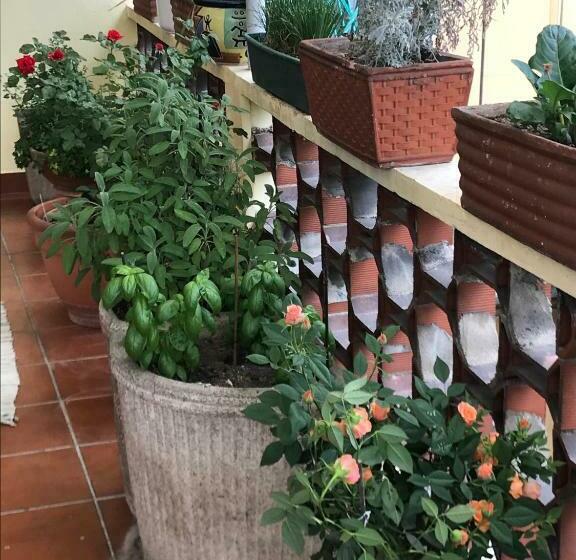 ベッドアンドブレックファースト Casa Di Nonna