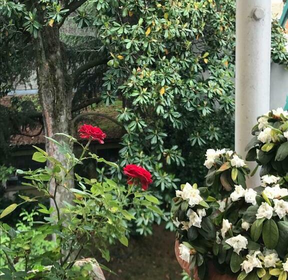 ベッドアンドブレックファースト Casa Di Nonna