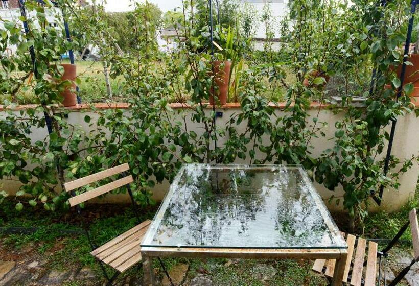 مبيت وإفطار Chambres D Hôtes Vue Sur La Muraille De Sens