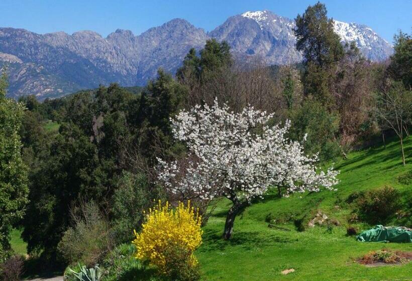 مبيت وإفطار Chambre Independante Et Aménagée 25 Kms Ajaccio