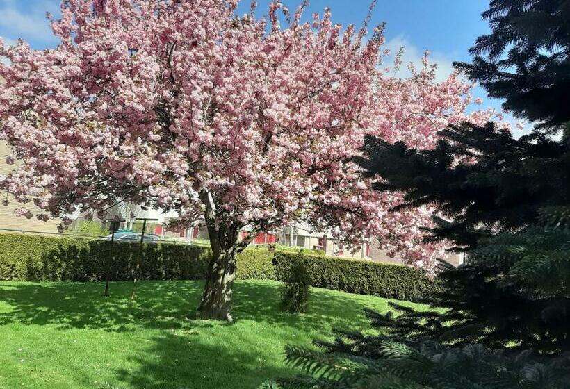 ベッドアンドブレックファースト De Herberg